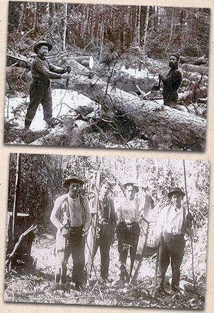 Lumberjacks with 2-man saw, around 1880.